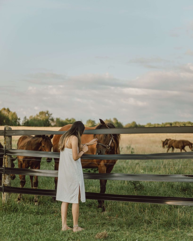 human sexing with animals